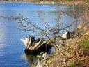 Vancouver Island, Saanich Peninsula, Canada - Union Bay. Photo by Luthien-TV