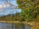 Vancouver Island, Saanich Peninsula, Canada - Union Bay. Photo by Luthien-TV