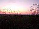 Schiermonnikoog, the Netherland - West Beach. Photo by Luthien-TV