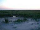 Schiermonnikoog, the Netherlands - West Beach. Photo by Luthien-TV
