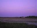 Schiermonnikoog, the Netherlands. Photo by Luthien-TV
